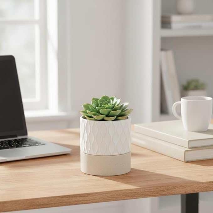 Nihow Self Watering Plant Pot: 4.5 Inch Ceramic Planter - Image 6