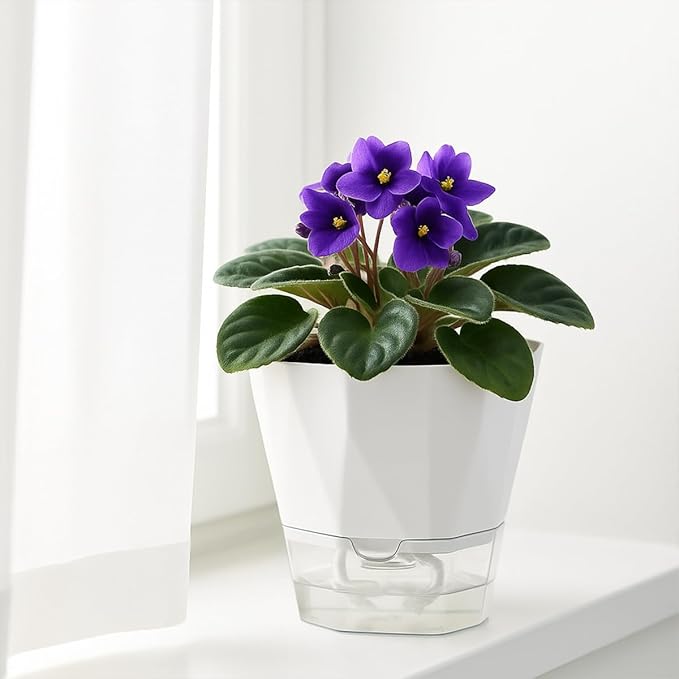6 Pack Self Watering Pots for Indoor Plants, 5 Inches Self Watering Planters - Image 6