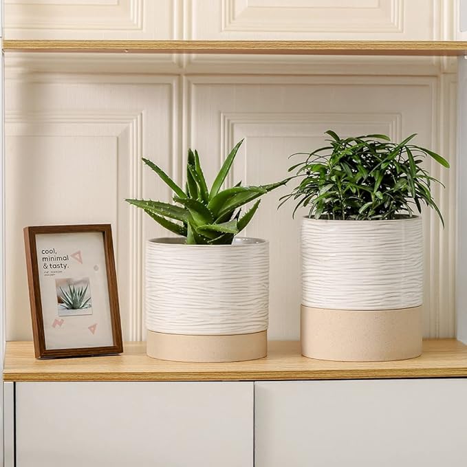Nihow Self Watering Plant Pot: 6 Inch Ceramic Planter - Image 9