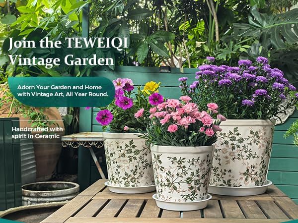Ceramic Planter Without Drainage Hole, 6.7 Inch - Image 8