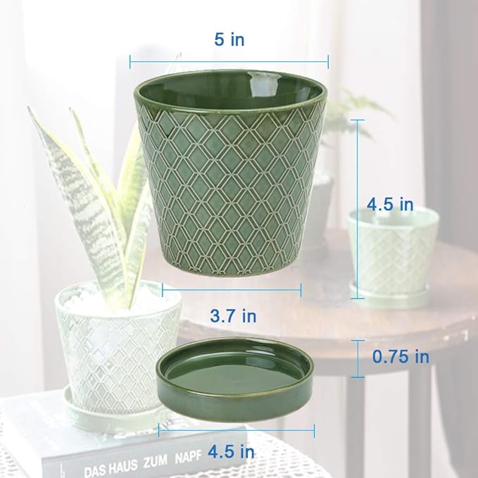 BUYMAX Plant Pots Indoor –5 inch Ceramic Flower Pot - Image 6