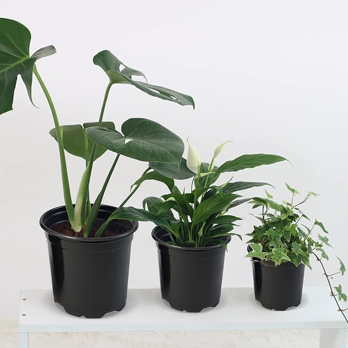 RAOOKIF 100 Pack Nursery Pots, 4 5 6 Inch Nursery Pot - Image 5