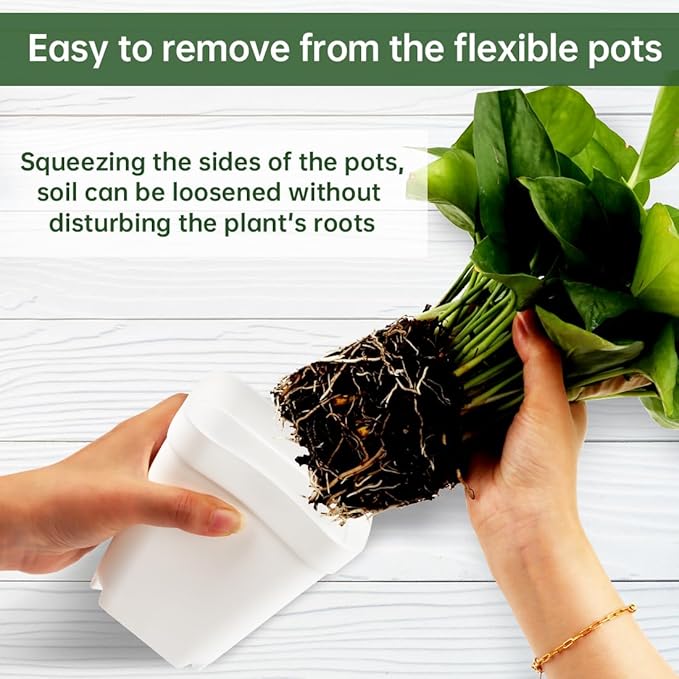 80 Pcs Nursery Pots 4 Inch, Plastic Seed Starting Pot - Image 2
