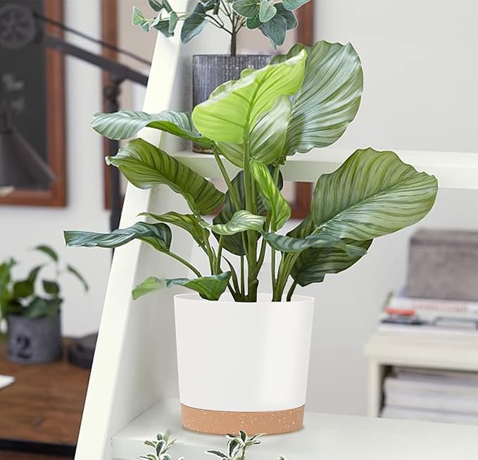 kubvici 8'' Plastic Flower Planter Pots Set of 2 Indoor Outdoor Planters - Image 9