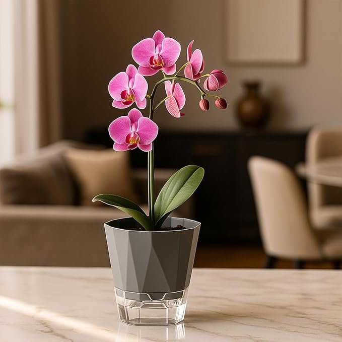 5 Pack Self Watering Pots for Indoor Plants, 6.7 Inches Self Watering Planters - Image 2