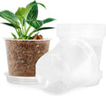 6 Inch Clear Nursery Pots for Plants by FUIJOL