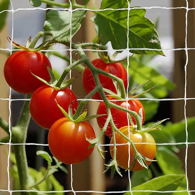 Tcamp Heavy-Duty Polyester Garden Trellis Net Plant Support Netting - Image 5