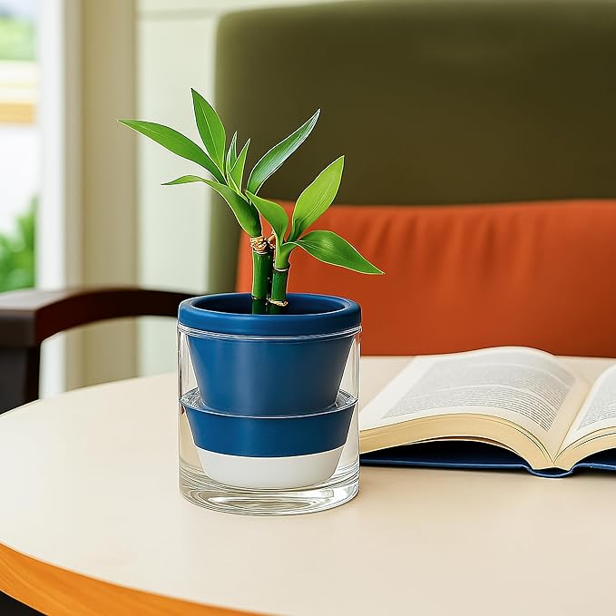 D'vine Dev 4 Inch Design Self Watering Planter - Image 7