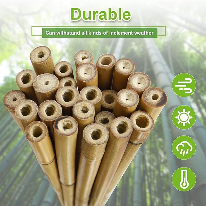 25pcs 1/2" D Thicker Heavy Duty Bamboo Stakes, 4FT Plant Stakes, Natural Garden - Image 4