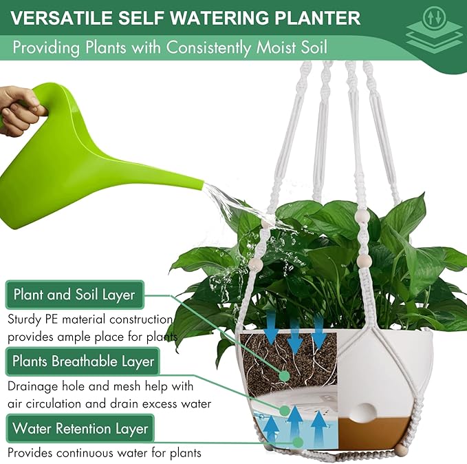 montresor Set of 2-8 Inch Hanging Planters - Image 5