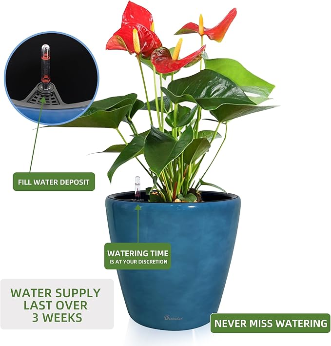 Dexceder 18x17 Self Watering Planter - Image 5