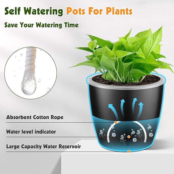 Self Watering Pots for Indoor Plants, Small African Violet Pots - Image 5