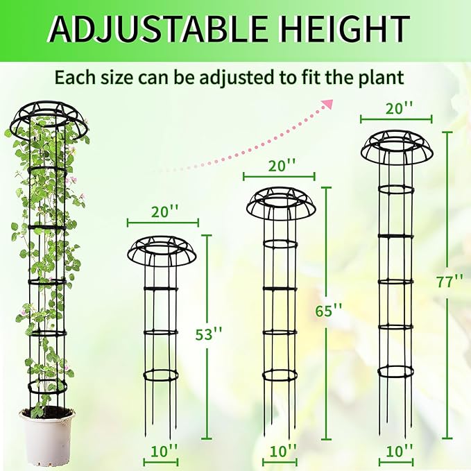 2-Pack 77-Inch Garden Trellis for Climbing Plants, Heavy-Duty Metal Obelisk - Image 2