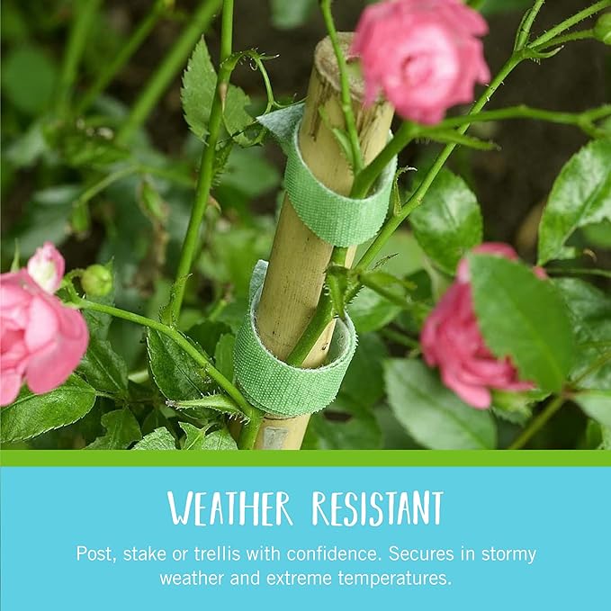 VELCRO Brand VEL-30071-USA ONE-WRAP Garden Ties | Plant Supports - Image 3