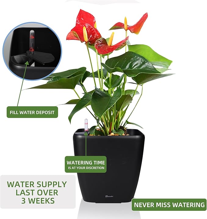 Dexceder 13x12 Self Watering Planter - Image 5