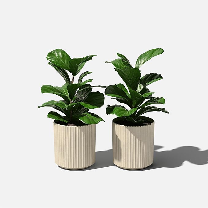 Veradek Demi Series Round Planter - Image 8