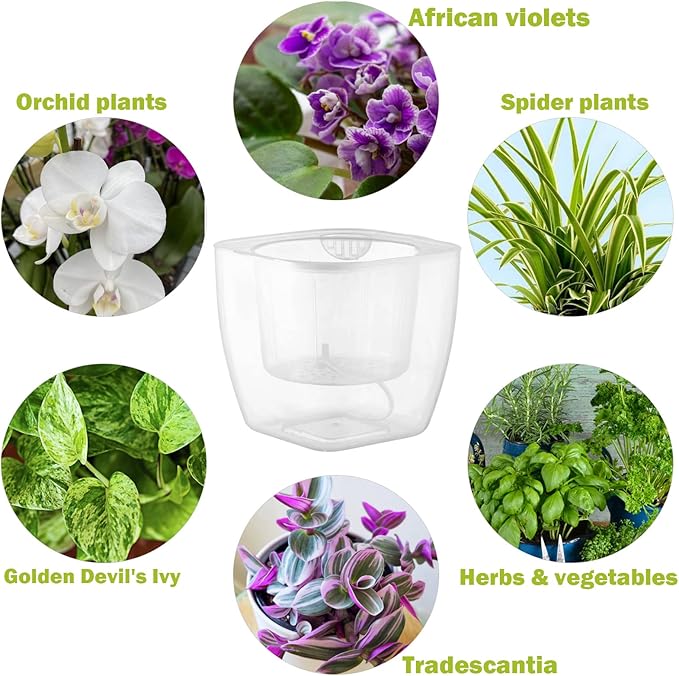 12-Pack Clear Self Watering Planters - Image 2