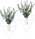 Jexine 8 Pcs Hanging Planters by Jexine
