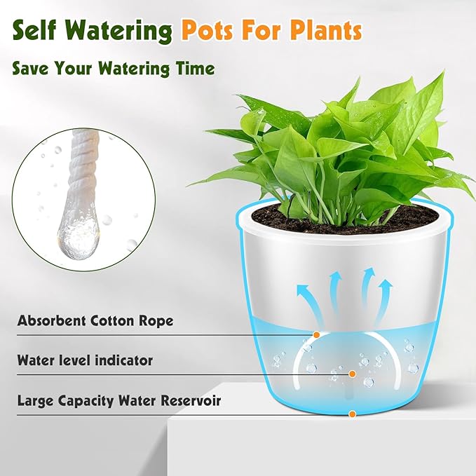 Self Watering Pots for Indoor Plants, Small African Violet Pots - Image 5