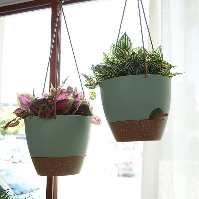8 inch Hanging Planters, 2 Pack Self Watering Hanging Pots - Image 5