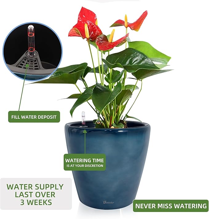 Dexceder 13x12 Self Watering Planter - Image 5