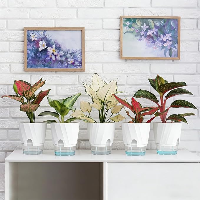 KIMCHOMERSE Self Watering Plant Pots, 6 Inch Plant Pots White, 6 Pack Flowers - Image 8