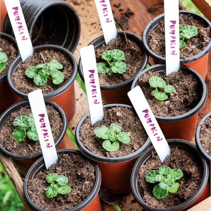 TDHDIKE Plastic Planter Nursery Pots 4" Small Seedlings Flower Pots Container - Image 7