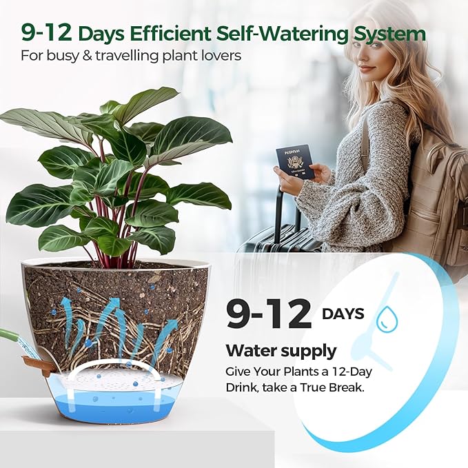 T4U 12 Inch Self Watering Pot - Image 5