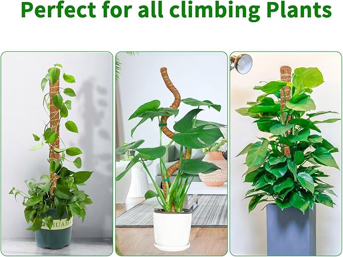 2 Pack 39 Inch Moss Pole Monstera Plant Support, Coir Moss Poles - Image 5