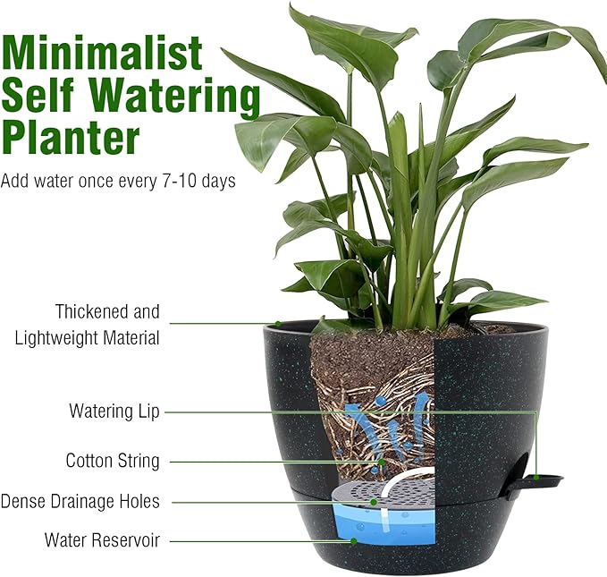 10 inch Self Watering Pots, Plant Pots - Image 5
