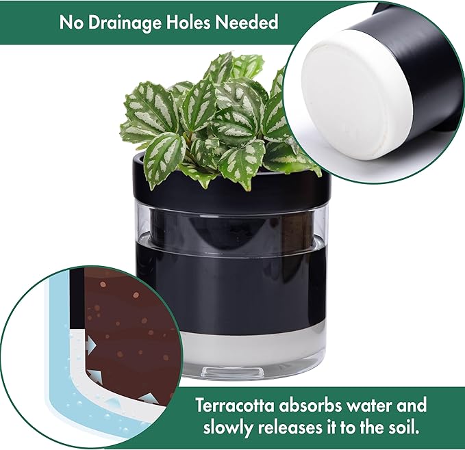 Phoenix Vine 6 Inch Self Watering Planter Pot - Image 5