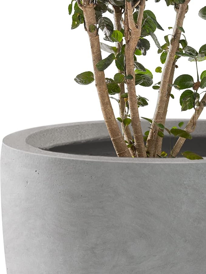 Kante 13.4" Dia Round Concrete Planter, Large Outdoor Modern Indoor Decorative - Image 8
