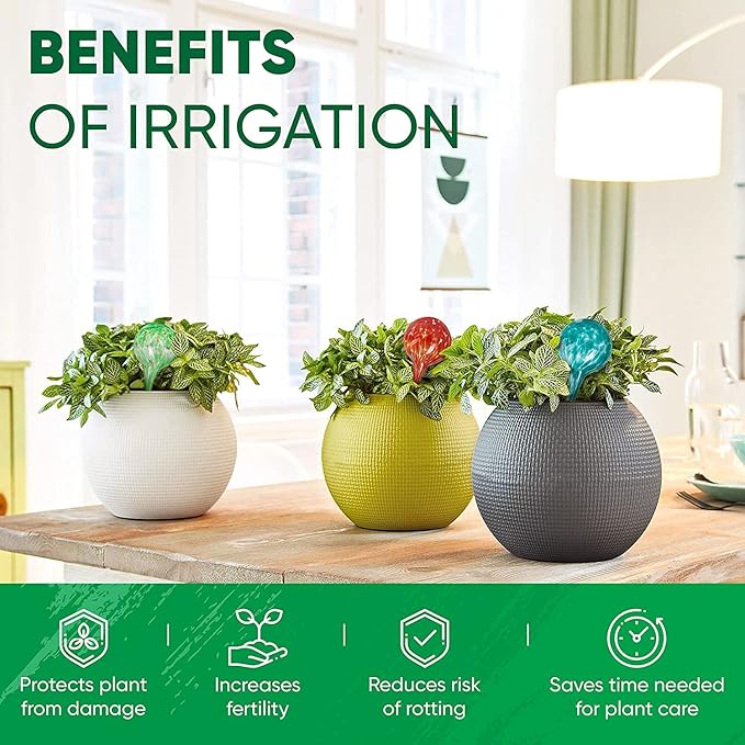 Plant Watering Globes Set of 8 - Image 4