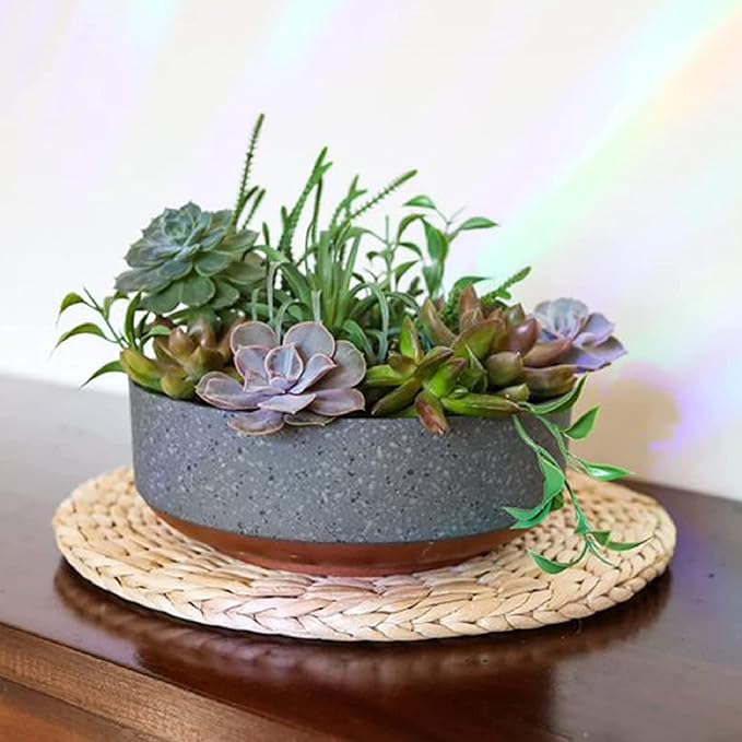 The HC Companies 8 Inch Round Plastic Succulent Capri Bowl 8"x8"x3" in Faux - Image 2