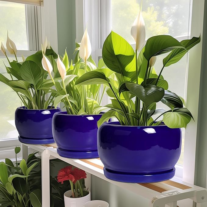 SQOWL Ceramic Plant Pot - Image 6