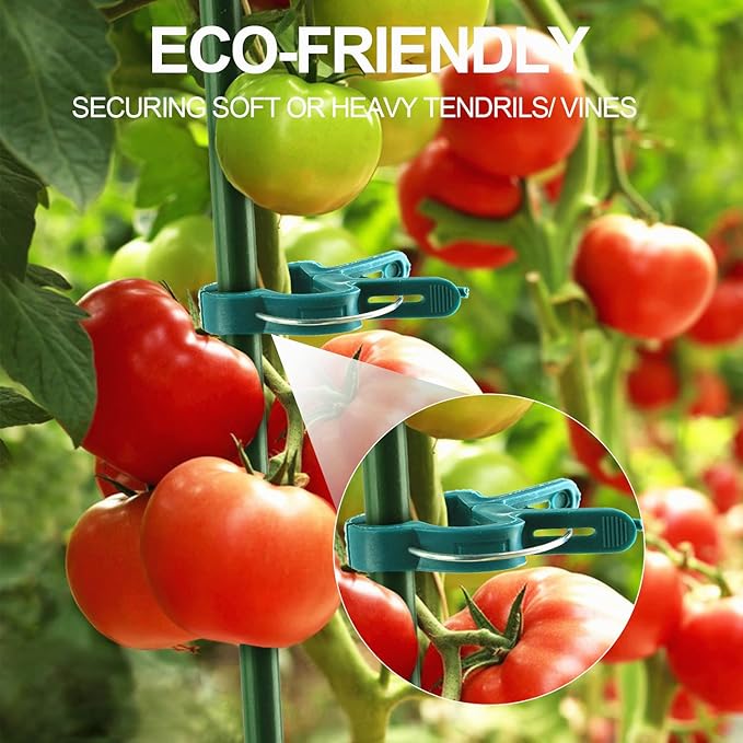 30 Pcs trumpet 1 inch Plant Support Clips, Flower and Vine, Garden Tomato Plant - Image 7