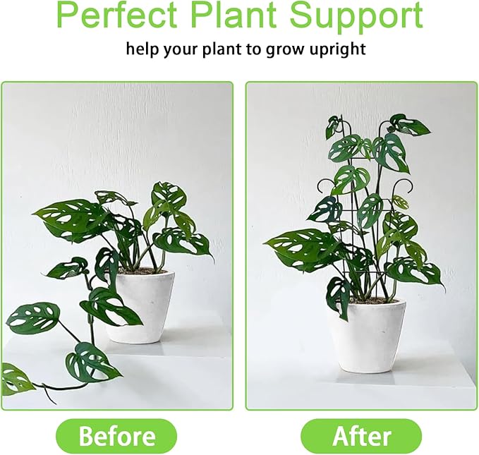 4P Plant Trellis for Potted Plants, Larger 23in Garden Trellis for Climbing - Image 3