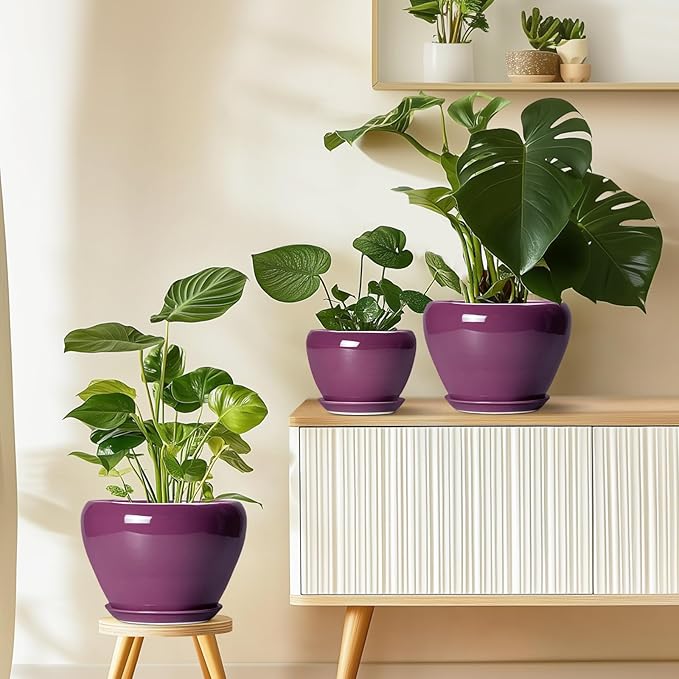 10 Inch Plant Pot - Image 8