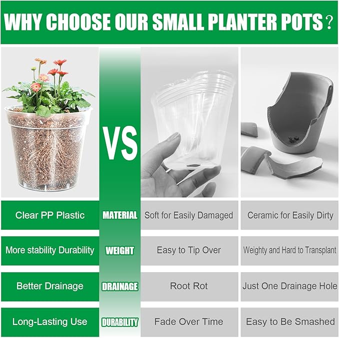 BTPLASTIK 50 Pack 2.5 Inch Clear Nursery Pots - Image 4