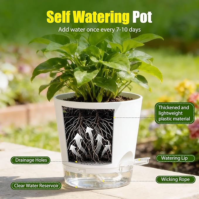 Plant Pots 8 Inch Self Watering Pots, 2 Pack Plastic Planters - Image 4