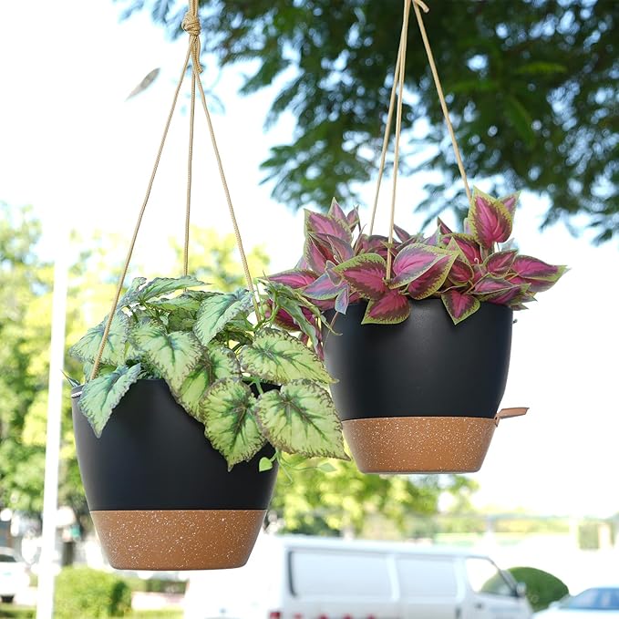 8 inch Hanging Planters, 2 Pack Self Watering Hanging Pots - Image 5