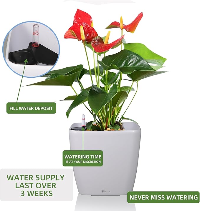Dexceder 18x17 Self Watering Planter - Image 5