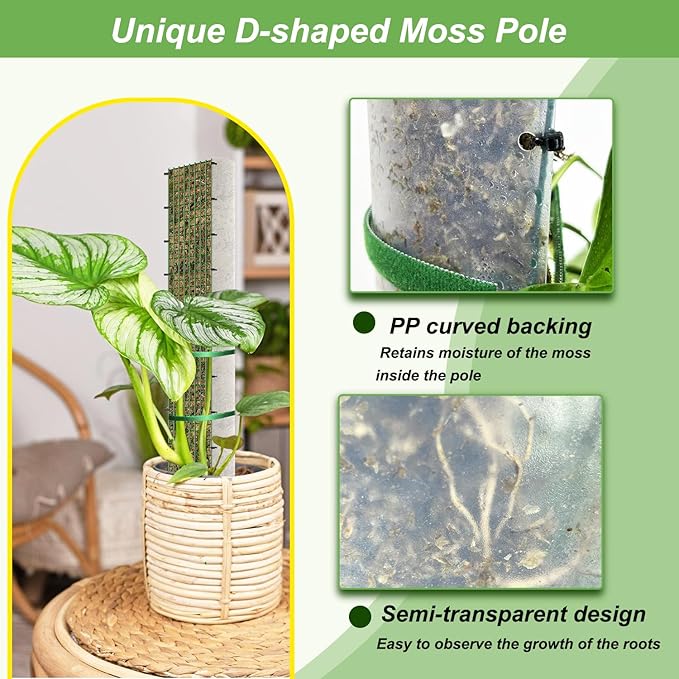 60"/40"/24" Metal Moss Pole, D Shape Sphagnum Moss Pole, Moss Poles - Image 3