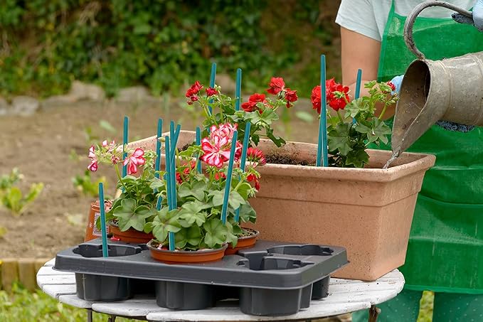 Garden Wood Plant Stakes Green Bamboo Sticks, HAINANSTRY Sturdy Floral Plant - Image 3