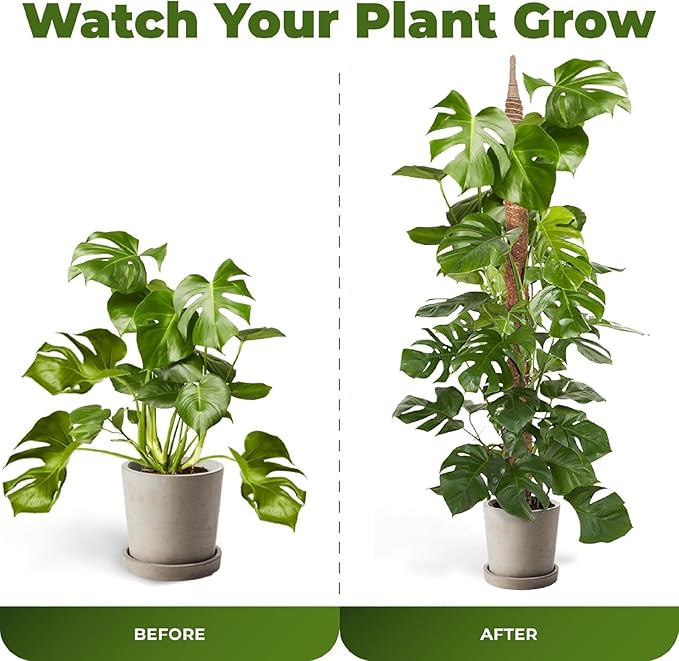 63 Inch Bendable Moss Pole Monstera Plant Support - Image 5