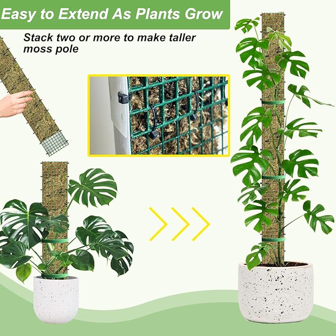 60" Metal Moss Pole, D Shape Sphagnum Moss Pole, Moss Poles - Image 4