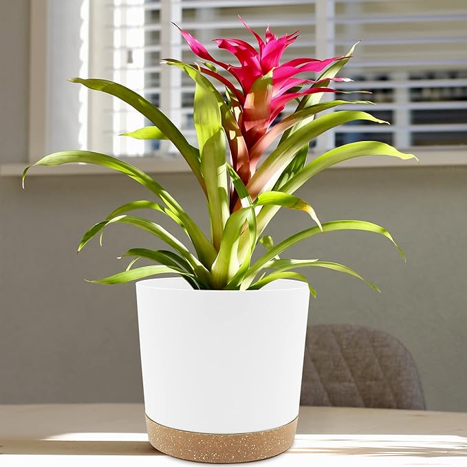 QCQHDU 6.5 inch Plant Pot, 2 Pack Planters - Image 5
