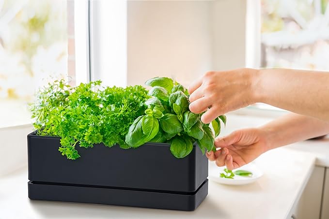 D'vine Dev 12 Inch Window Box Planter, Rectangle Plastic Herb Planter - Image 5