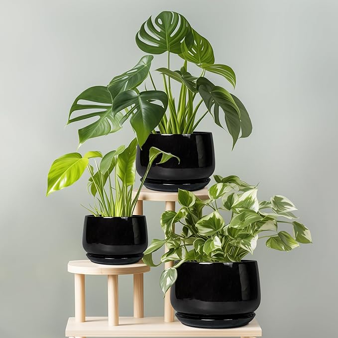 G EPGardening Ceramic Planter 7 Inch - Image 7