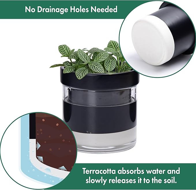 Phoenix Vine 4 Inch Self Watering Terracotta Planter - Image 5